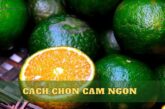 Cách chọn cam ngon ngọt, nhiều nước không phải ai cũng biết