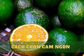 Cách chọn cam ngon ngọt, nhiều nước không phải ai cũng biết