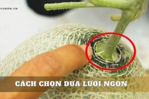 3 cách chọn dưa lưới ngon ngọt lịm, giòn thơm chuẩn nhất