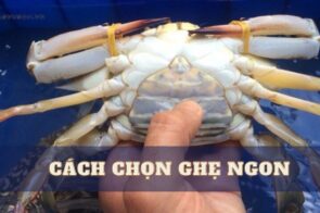 Dân Quảng Ninh hé lộ 03 cách chọn ghẹ ngon, chắc thịt cực chuẩn