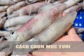 Mách bạn cách chọn mực tươi ngon chuẩn dân biển