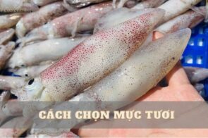 Mách bạn cách chọn mực tươi ngon chuẩn dân biển