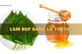 Bật mí 5 cách làm đẹp bằng lá tía tô giúp da sáng mịn rạng rỡ