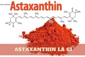 Astaxanthin là gì? 5 tác dụng của Astaxanthin trong làm đẹp da