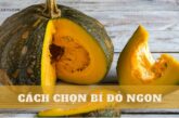 Bật mí 4 cách chọn bí đỏ ngon, dẻo, không bị xơ cứng