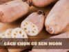 Cách chọn củ sen ngon – Bí quyết nội trợ không thể bỏ qua