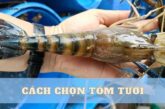 5 cách chọn tôm tươi ngon như dân biển, đảm bảo sạch!