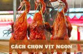 Đừng mua vịt trước nếu không biết 3 cách chọn vịt ngon này!