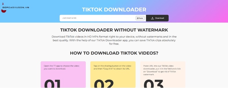 Cách tải video TikTok không dính logo với TikTok Downloader