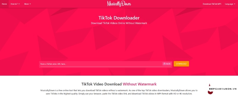 Cách tải video TikTok không logo trên IPhone với MusicallyDown