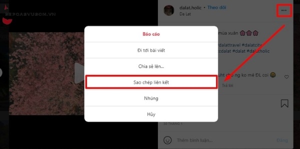 Cách tải video trên Instagram về máy tính - 1