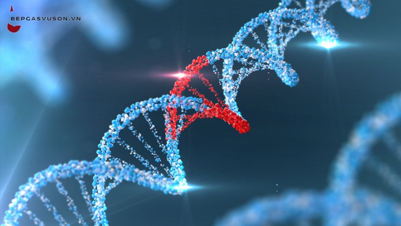 Astaxanthin có thể tăng cường khả năng sửa chữa DNA