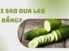 Tại sao dưa leo bị đắng? Cách trồng dưa không bị đắng cực hay